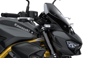 Grand saute-vent fumé